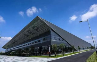 岭南荔枝熟，最甜在花都——技术服务赋能荔枝产业发展